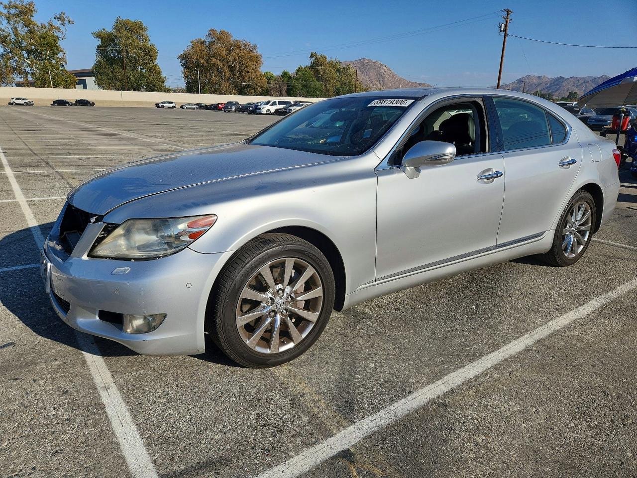Photo of the 2010 LEXUS LS 460