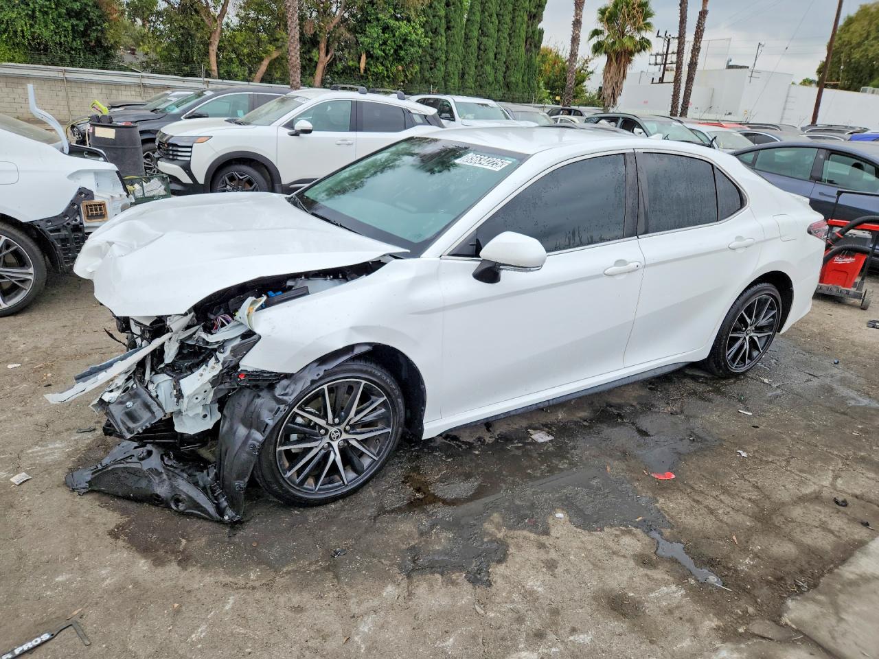 Photo of the 2024 TOYOTA CAMRY SE