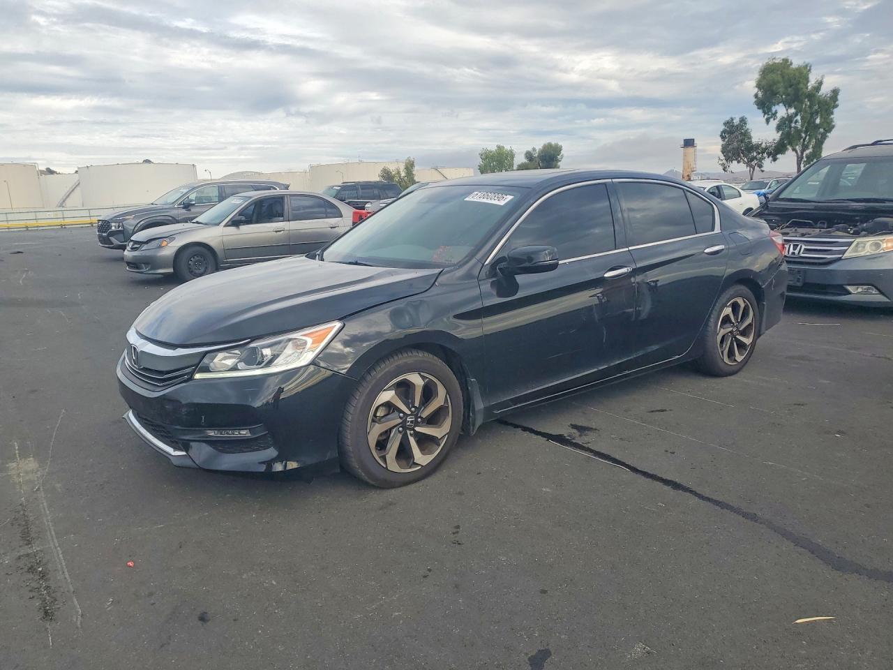 Photo of the 2016 HONDA ACCORD EXL