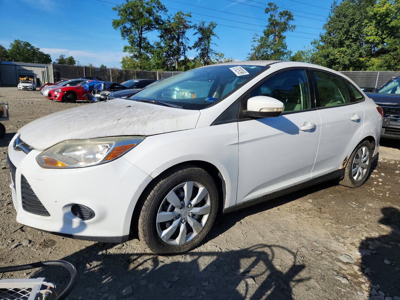 Photo of the 2013 FORD FOCUS SE