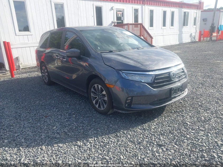 Photo of the 2024 HONDA ODYSSEY EXL