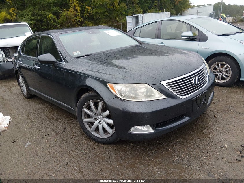Photo of the 2009 LEXUS LS 460 L
