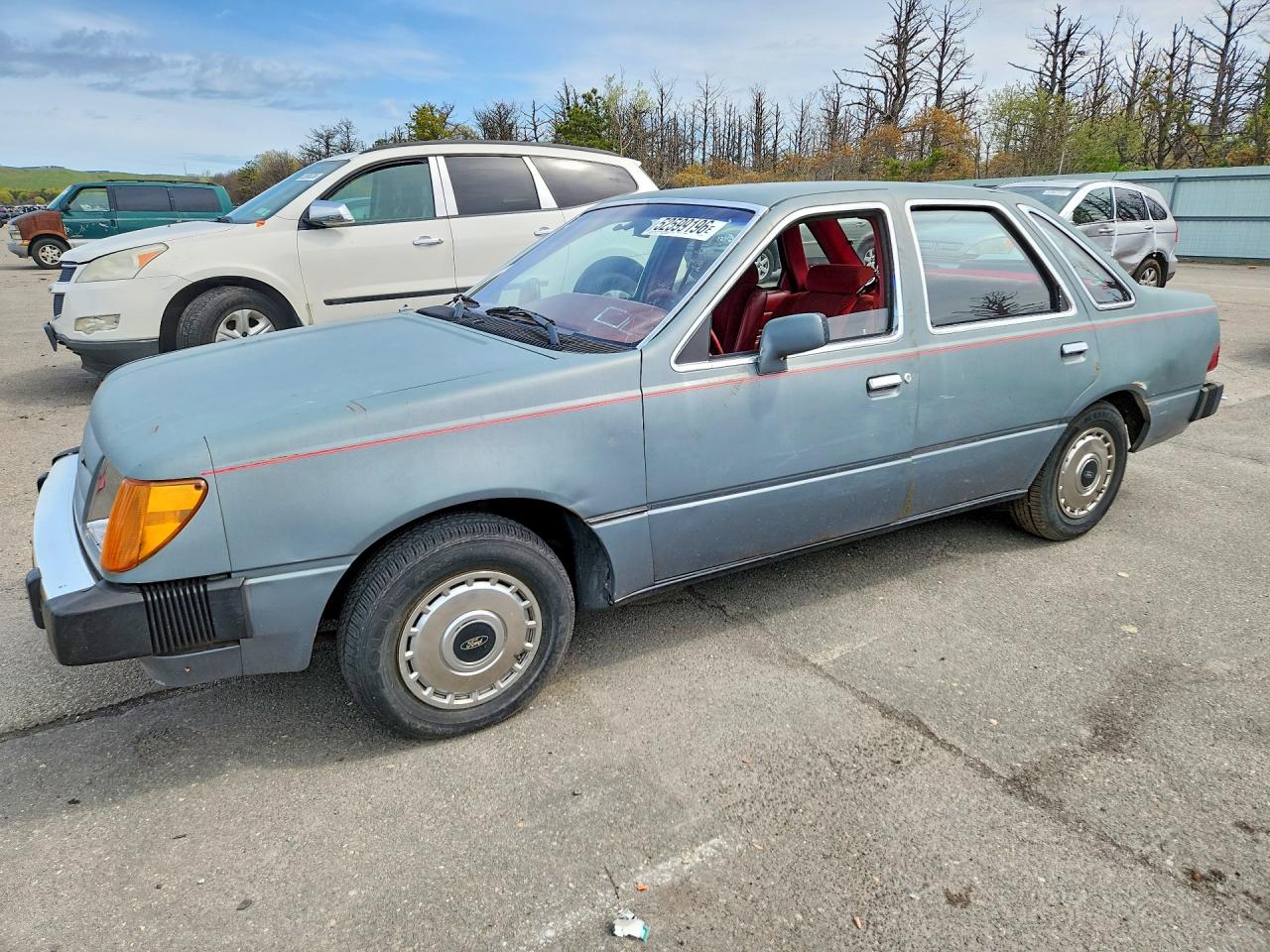Photo of the 1984 FORD TEMPO GL