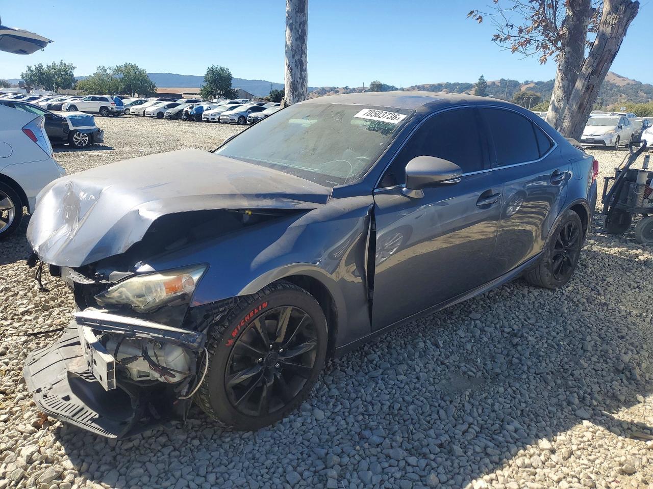 Photo of the 2014 LEXUS IS 250