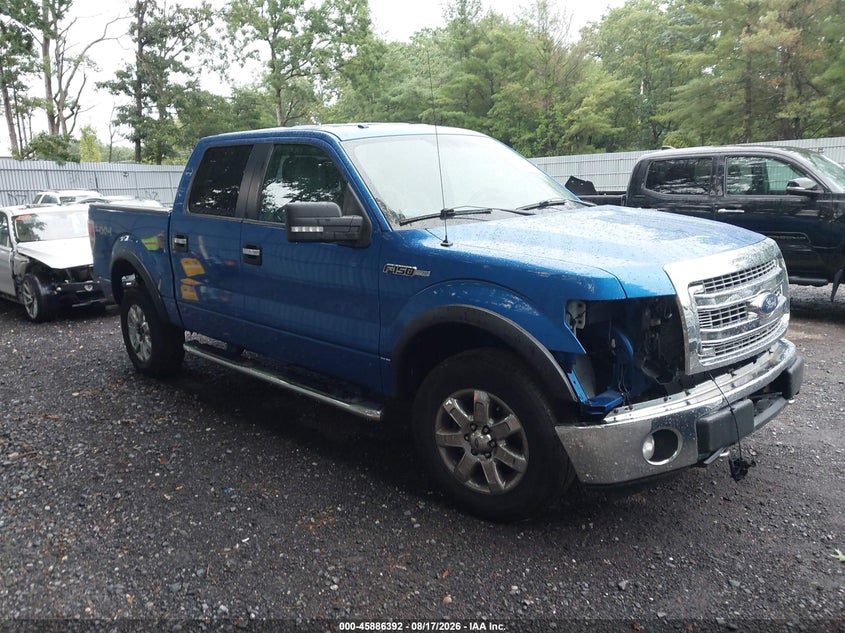 Photo of the 2013 FORD F-150 XLT