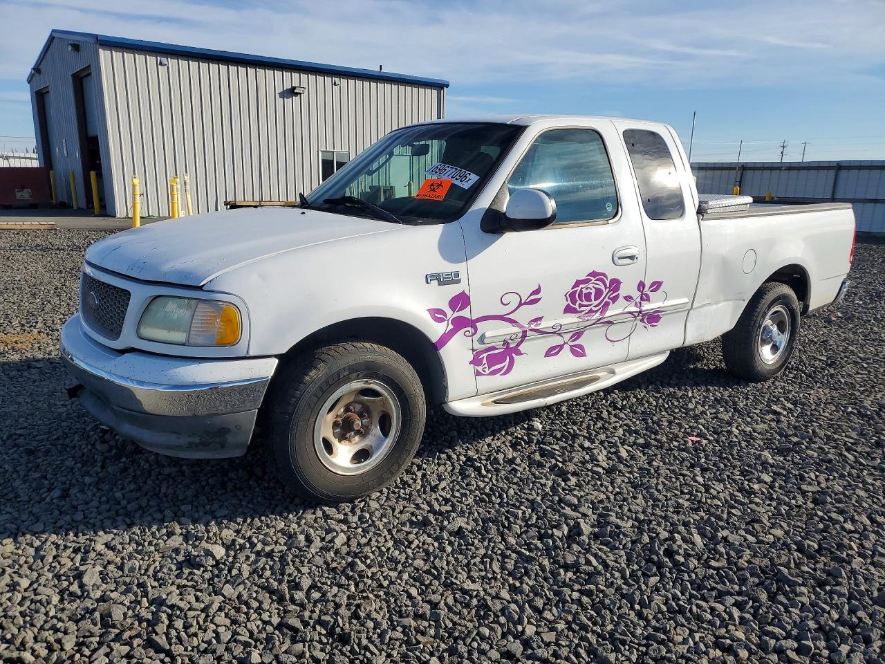 Photo of the 2002 FORD F150