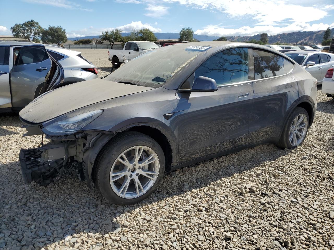 Photo of the 2023 TESLA MODEL Y