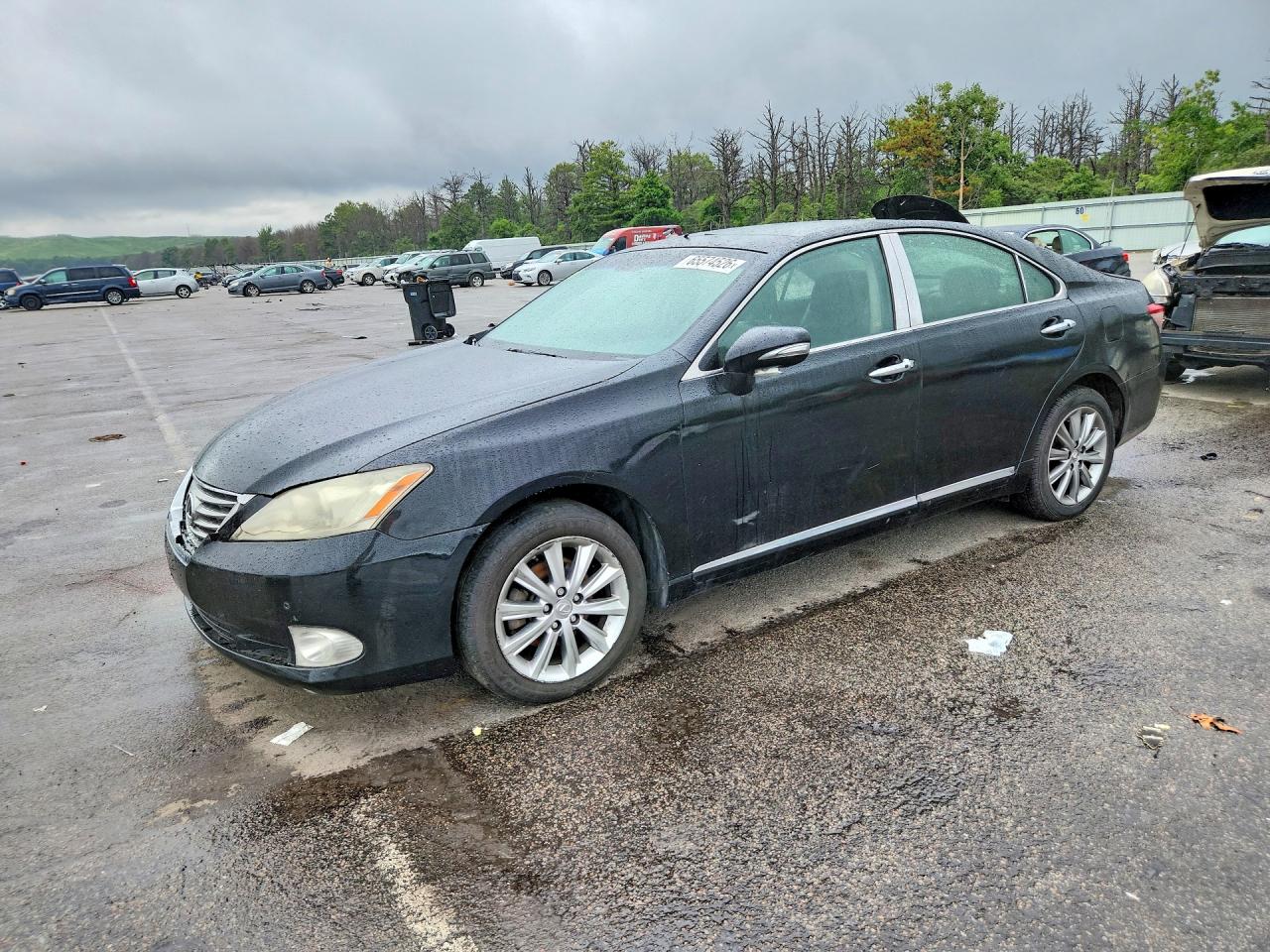 Photo of the 2010 LEXUS ES 350
