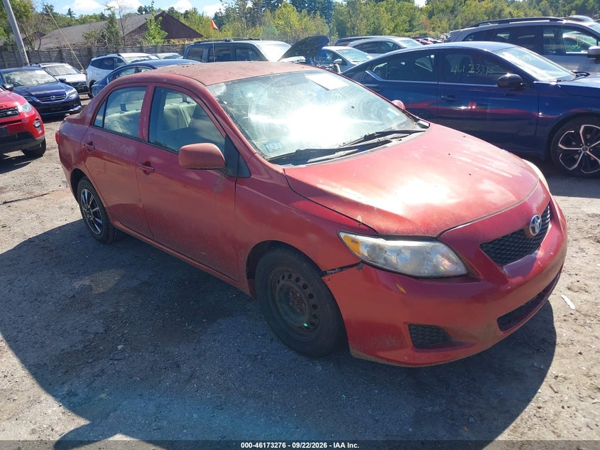 Photo of the 2009 TOYOTA COROLLA LE