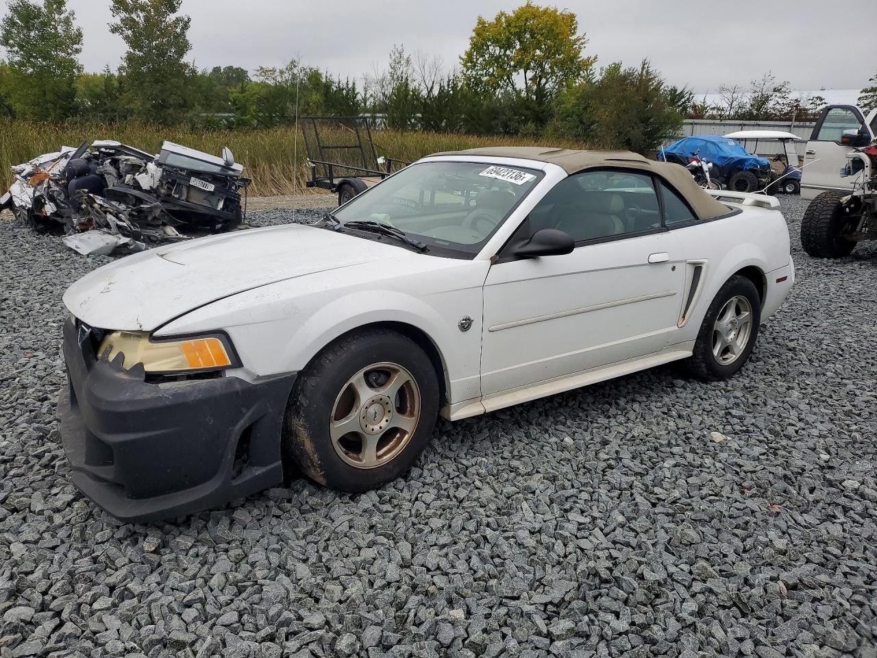Photo of the 2004 FORD MUSTANG
