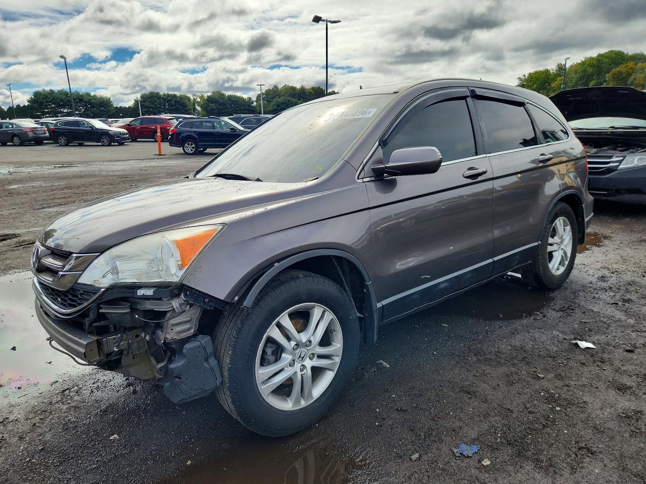 Photo of the 2010 HONDA CR-V EXL