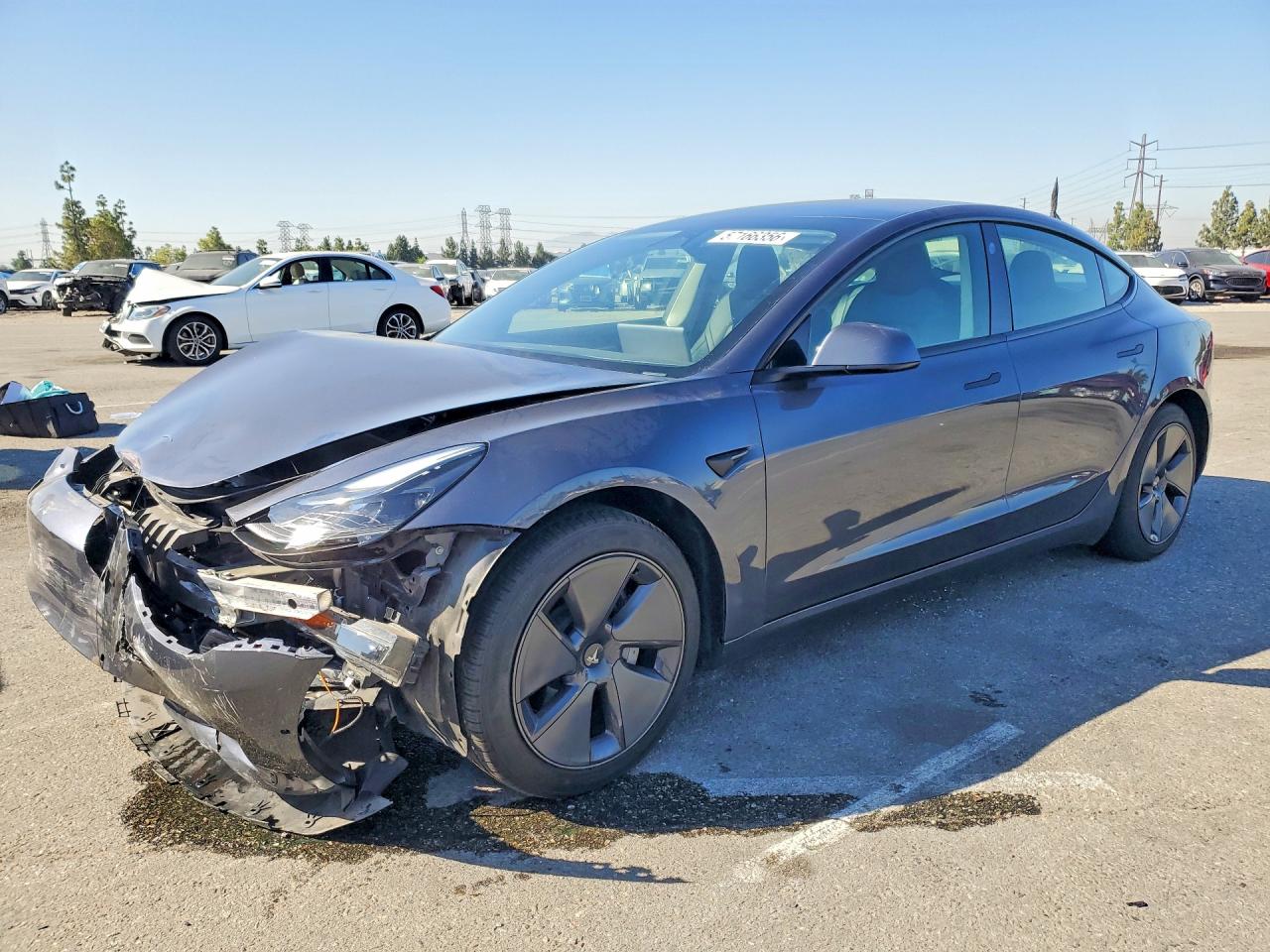 Photo of the 2022 TESLA MODEL 3