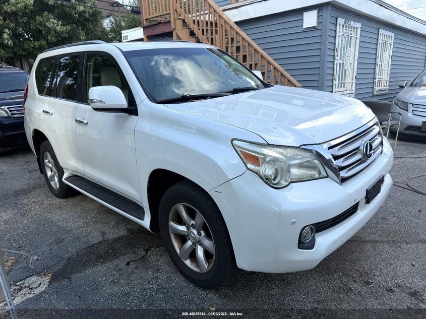 Photo of the 2010 LEXUS GX 460