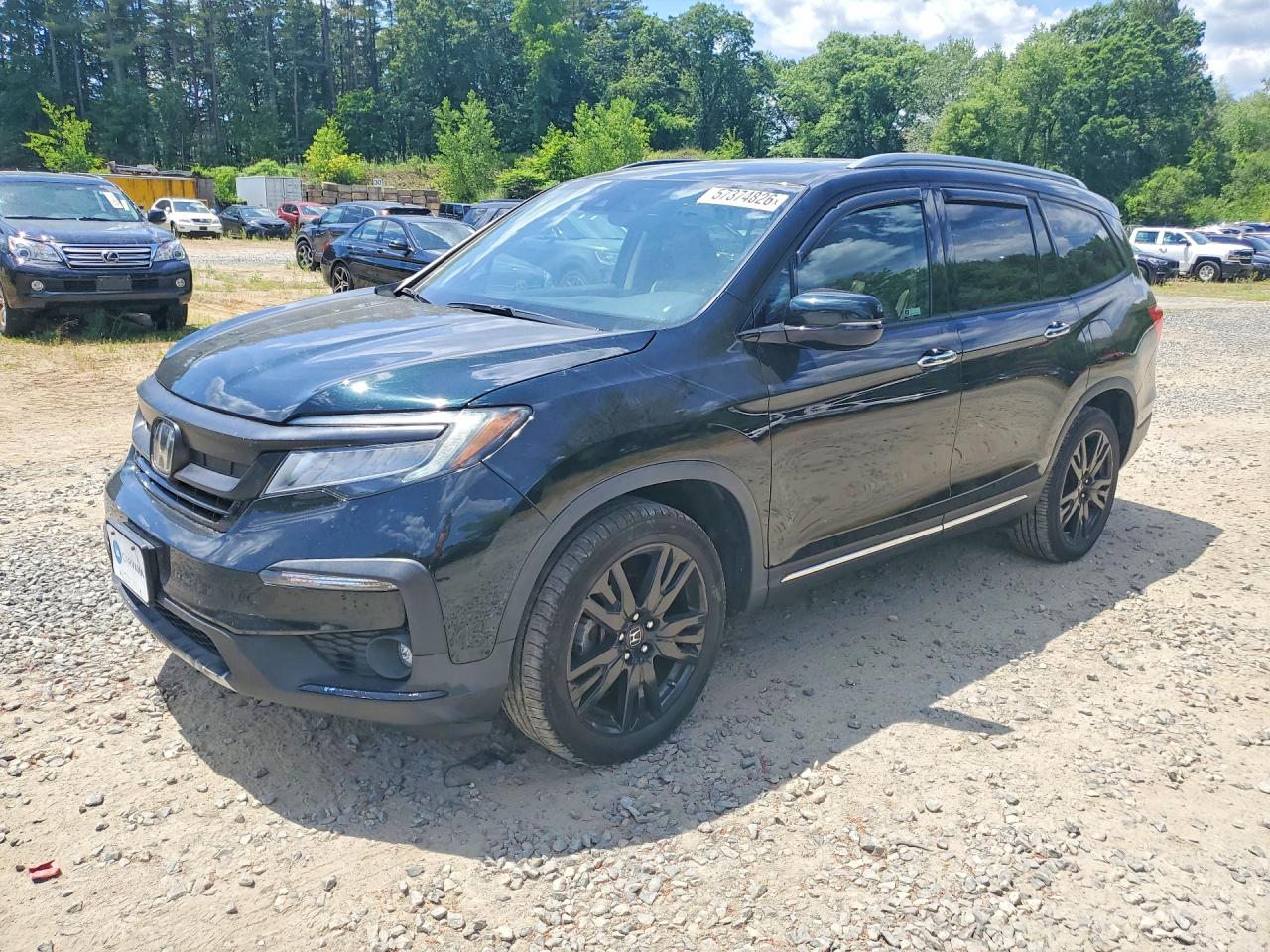 Photo of the 2020 HONDA PILOT ELITE