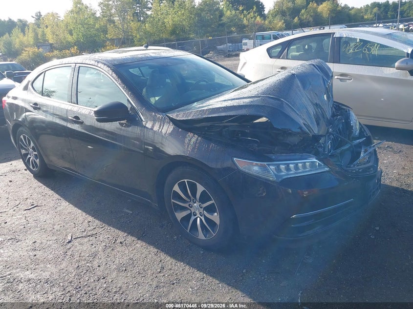 Photo of the 2015 ACURA TLX TECH