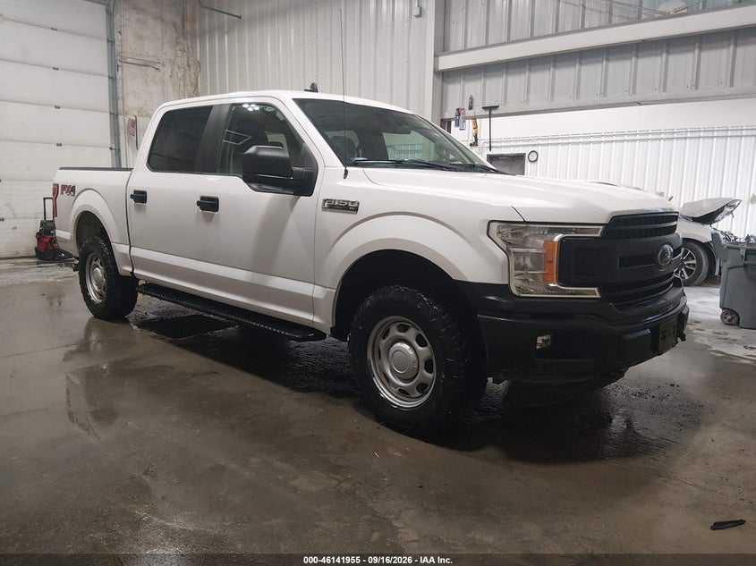 Photo of the 2020 FORD F-150 XL