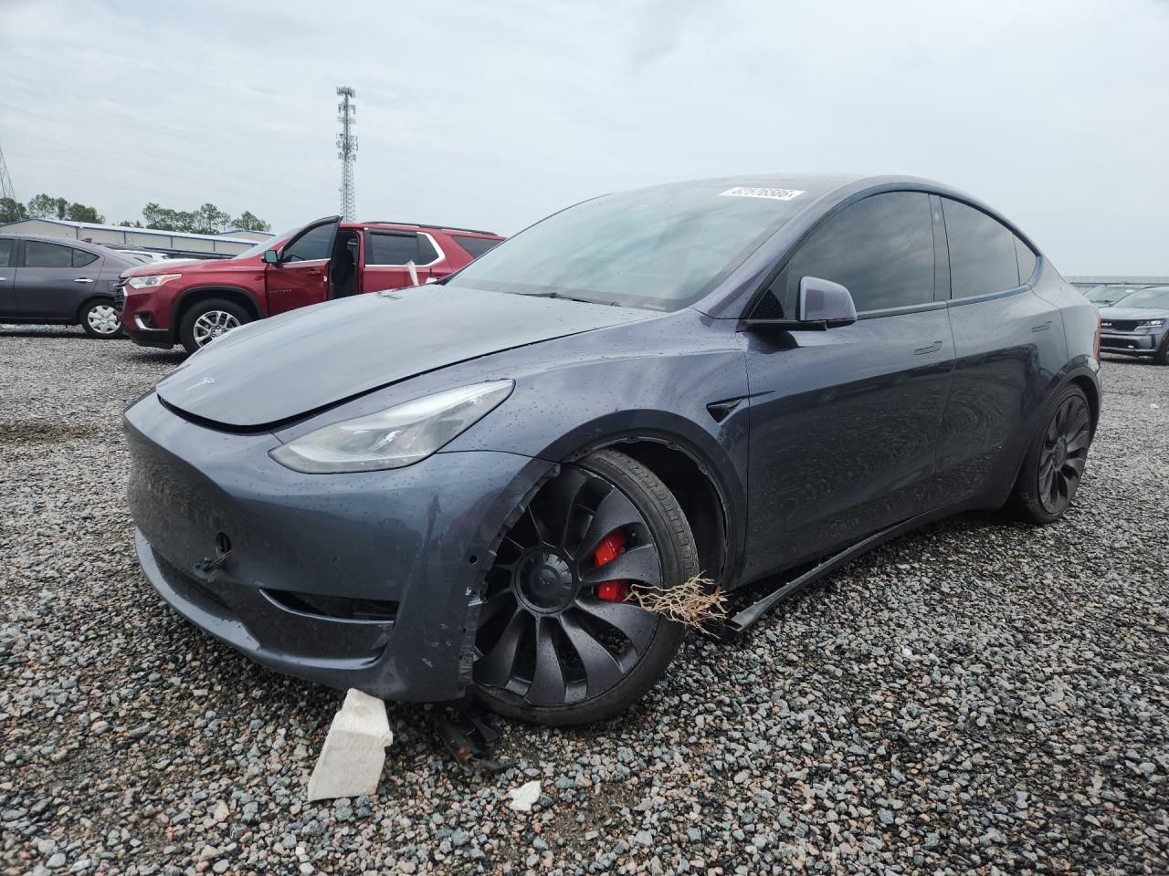 Photo of the 2021 TESLA MODEL Y