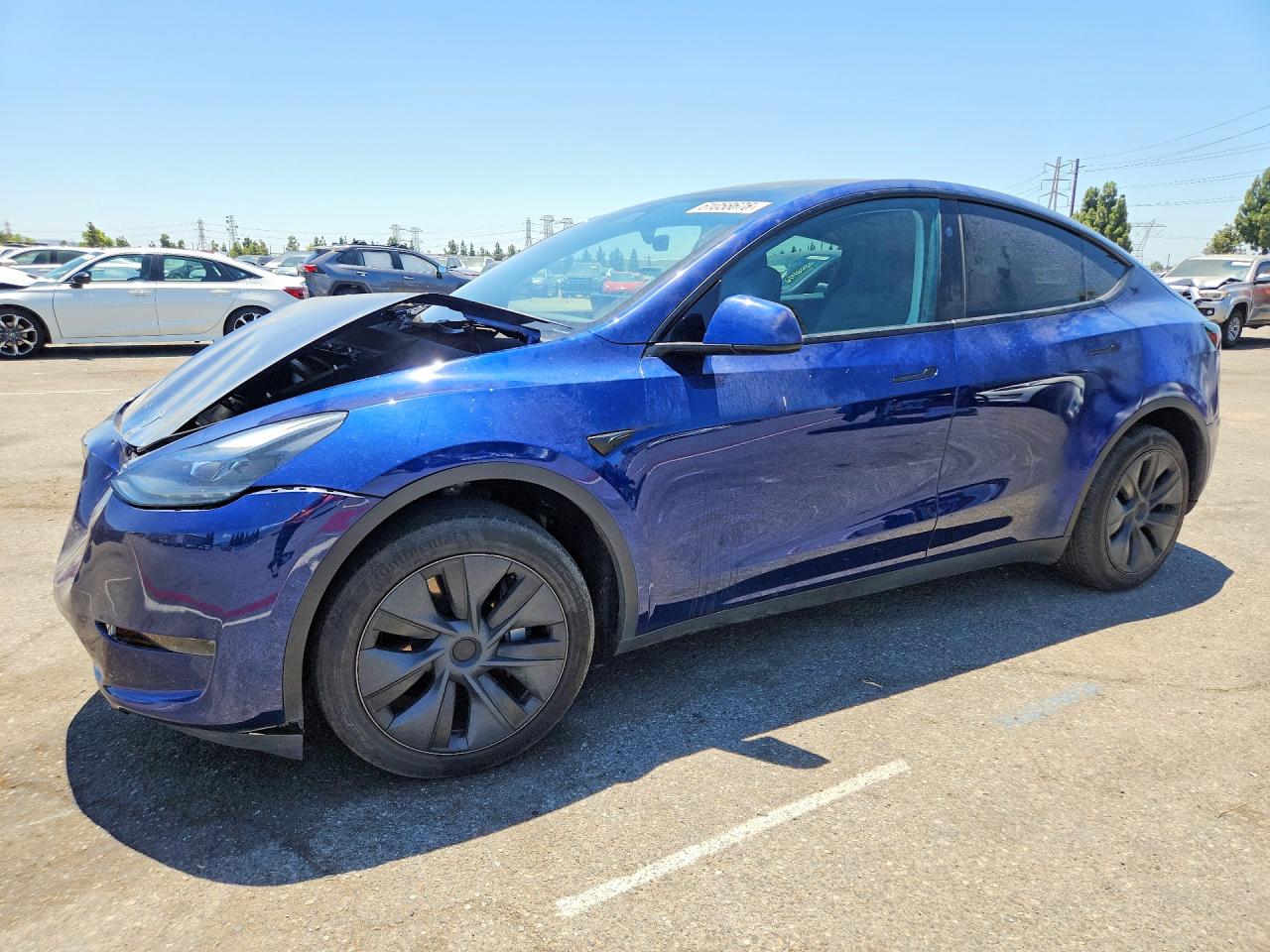 Photo of the 2024 TESLA MODEL Y