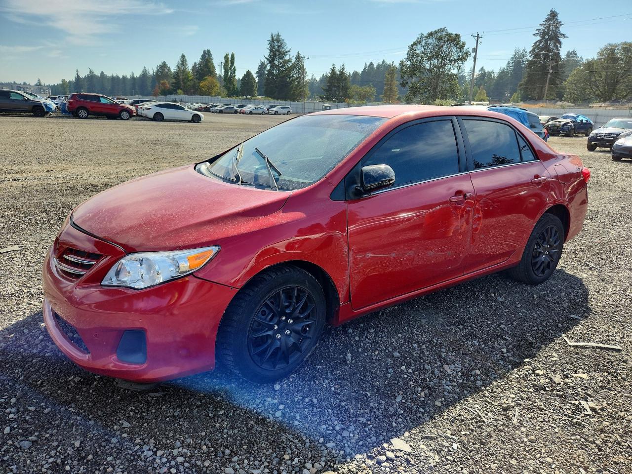 Photo of the 2013 TOYOTA COROLLA LE