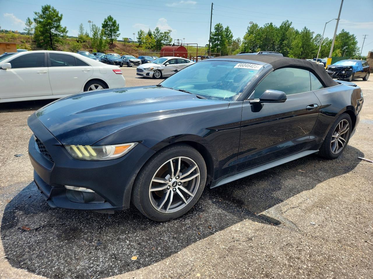 Photo of the 2017 FORD MUSTANG