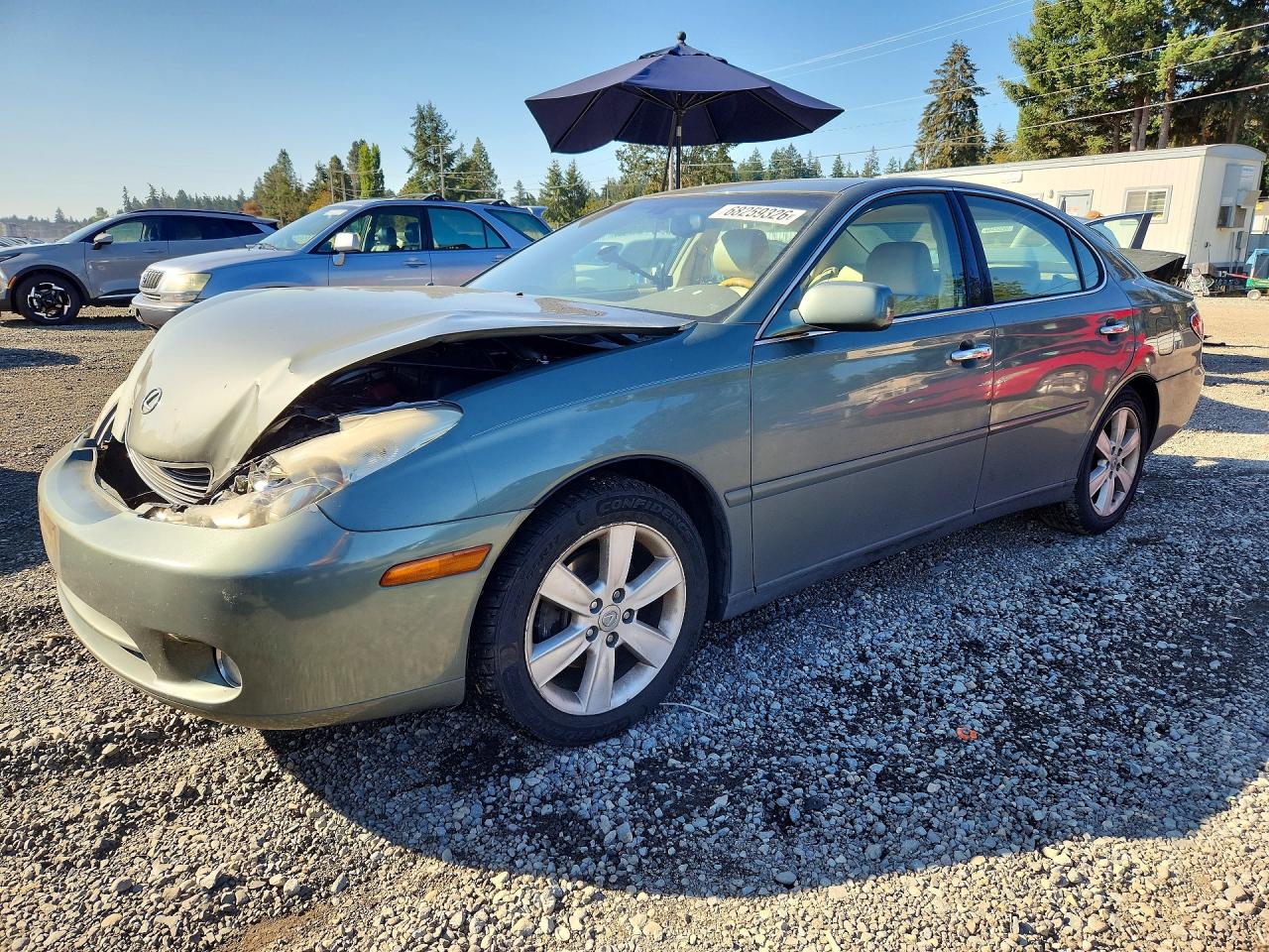 Photo of the 2005 LEXUS ES 330