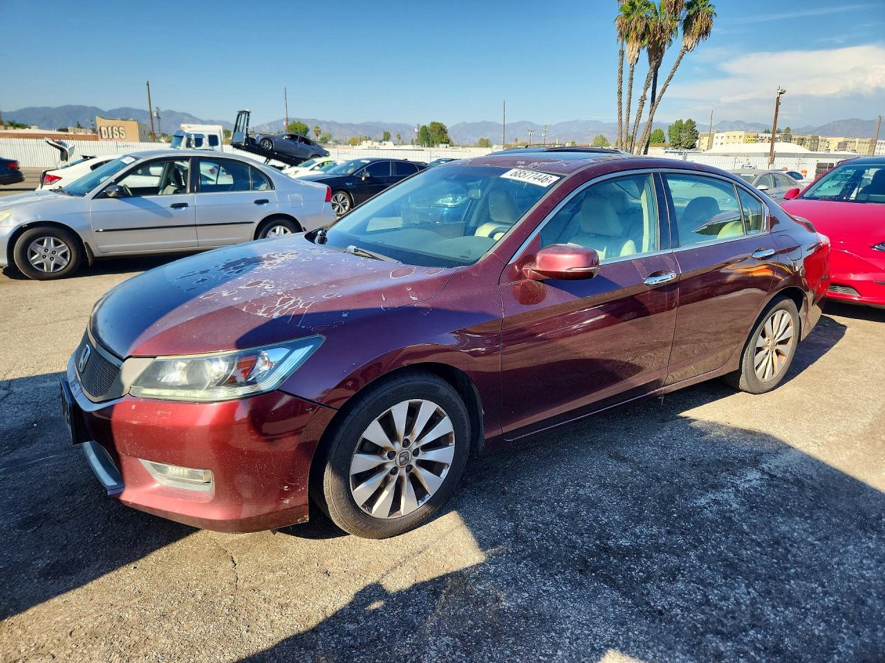 Photo of the 2013 HONDA ACCORD EXL