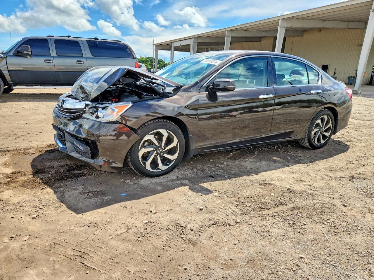 Photo of the 2016 HONDA ACCORD EXL