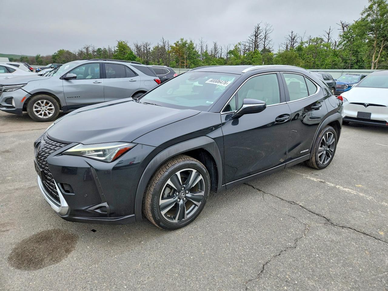 Photo of the 2019 LEXUS UX 250H