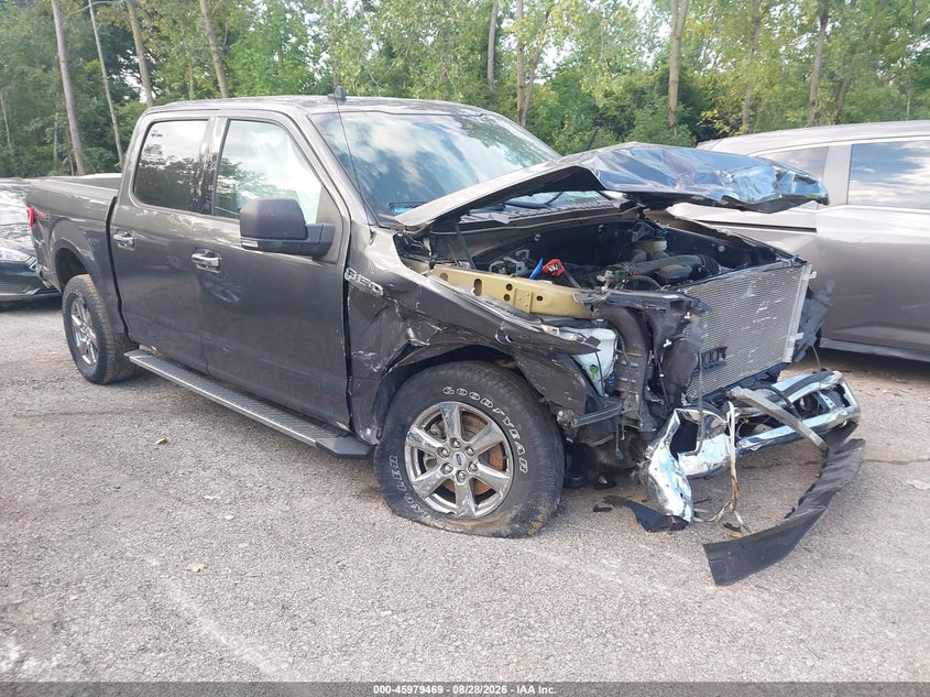 Photo of the 2020 FORD F-150 XLT