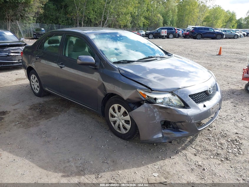 Photo of the 2009 TOYOTA COROLLA LE