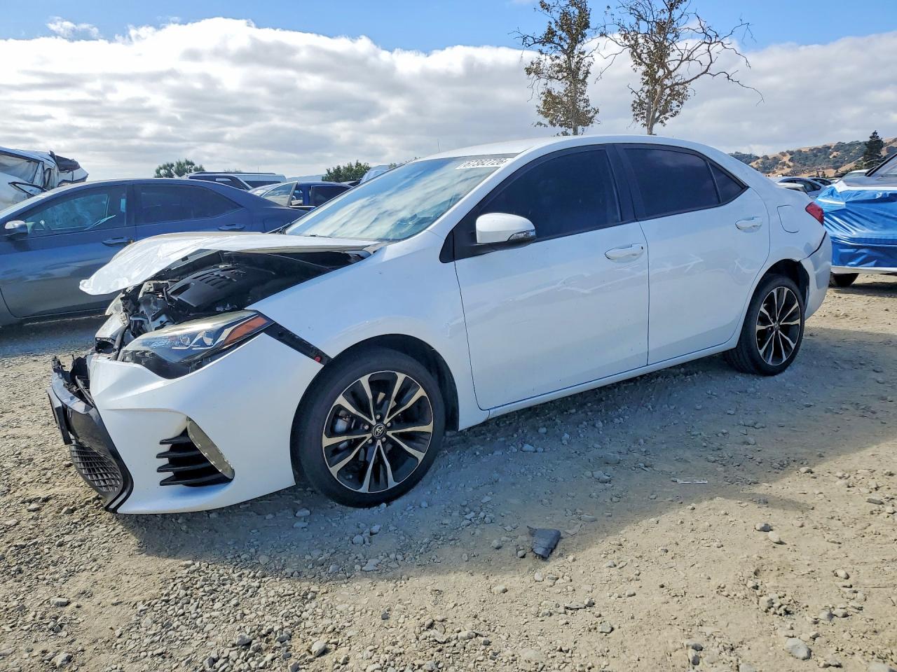 Photo of the 2018 TOYOTA COROLLA SE