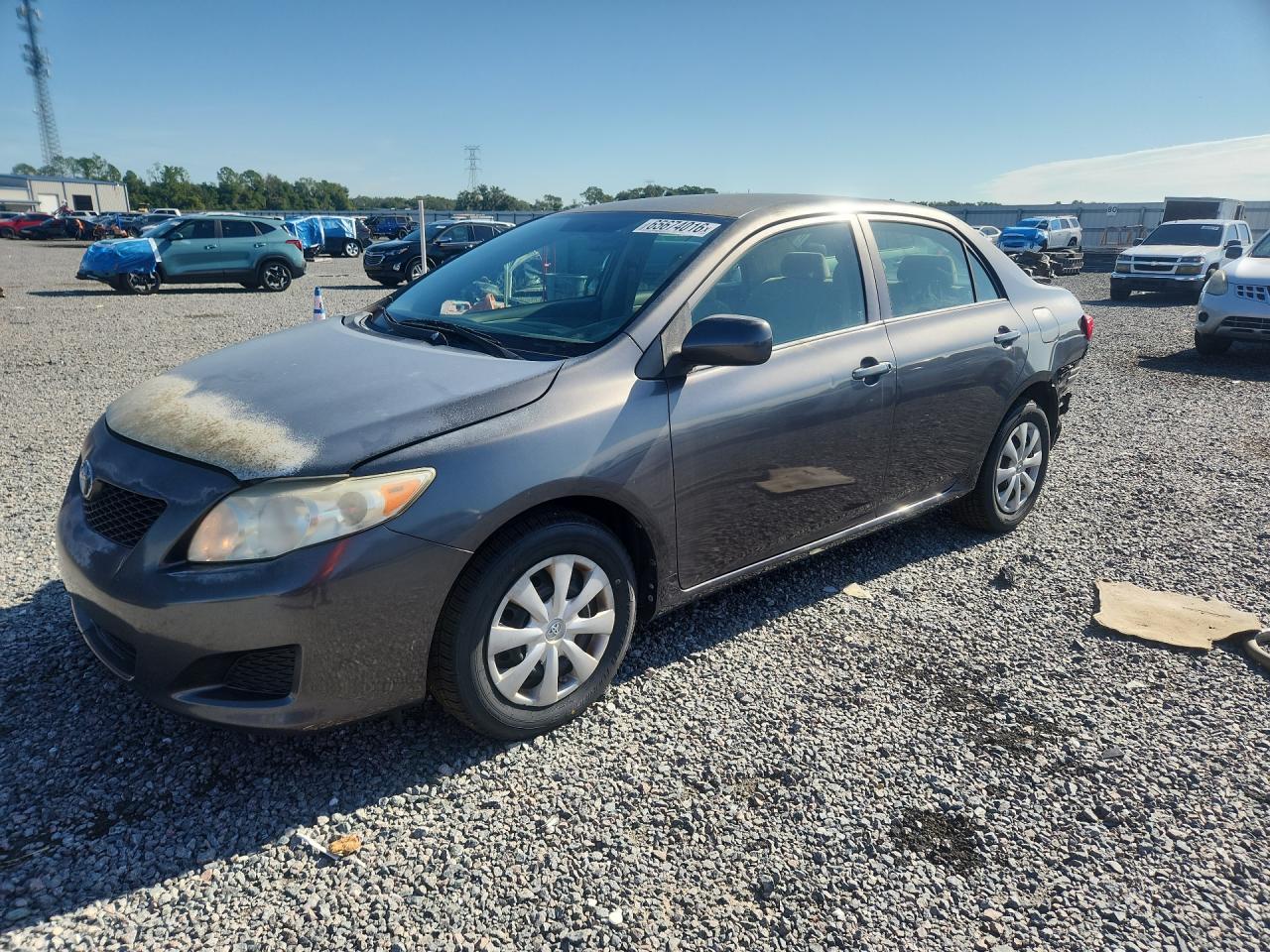 Photo of the 2010 TOYOTA COROLLA LE