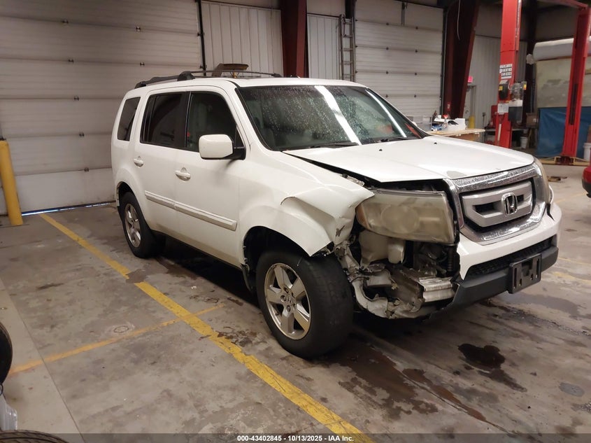 Photo of the 2011 HONDA PILOT EXL