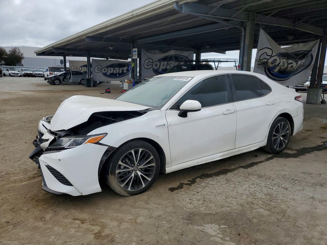 Photo of the 2019 TOYOTA CAMRY HYBRID SE