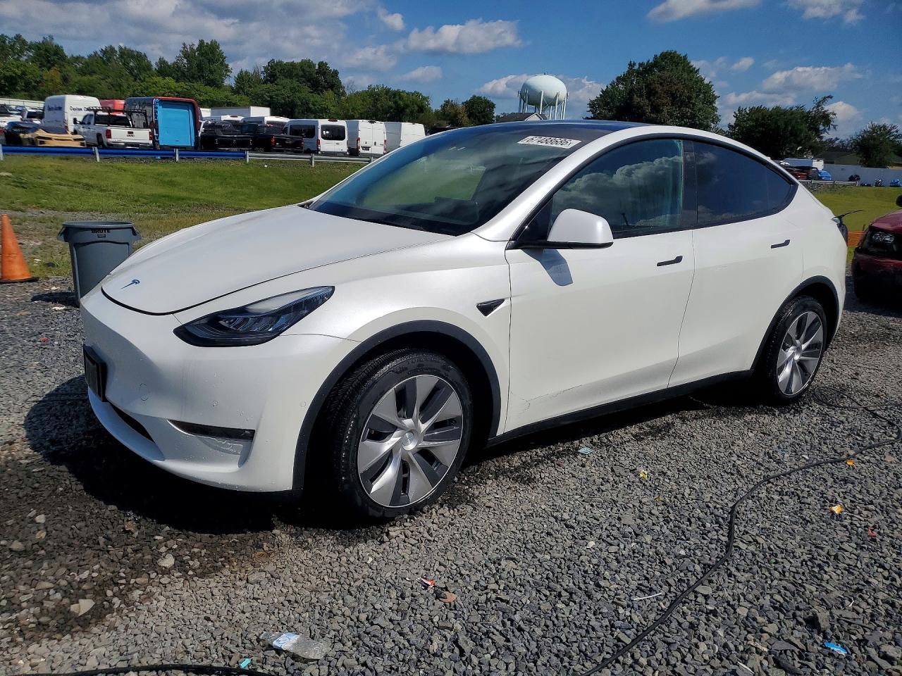 Photo of the 2021 TESLA MODEL Y