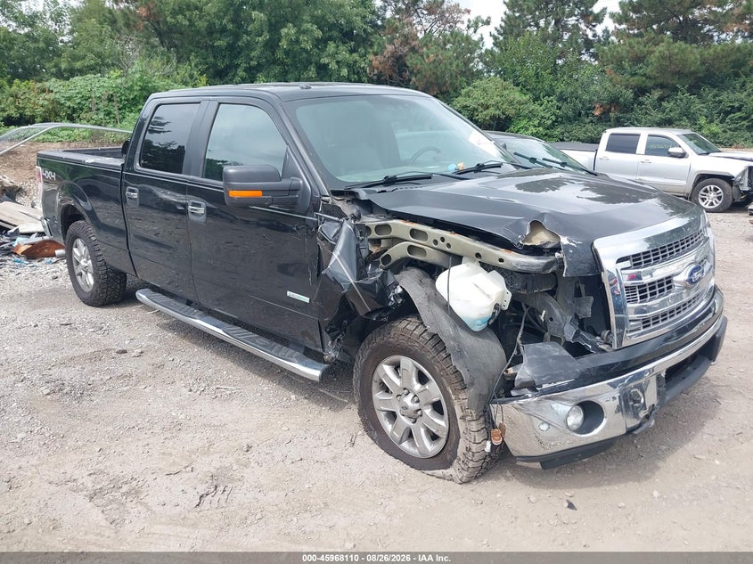 Photo of the 2014 FORD F-150 XLT