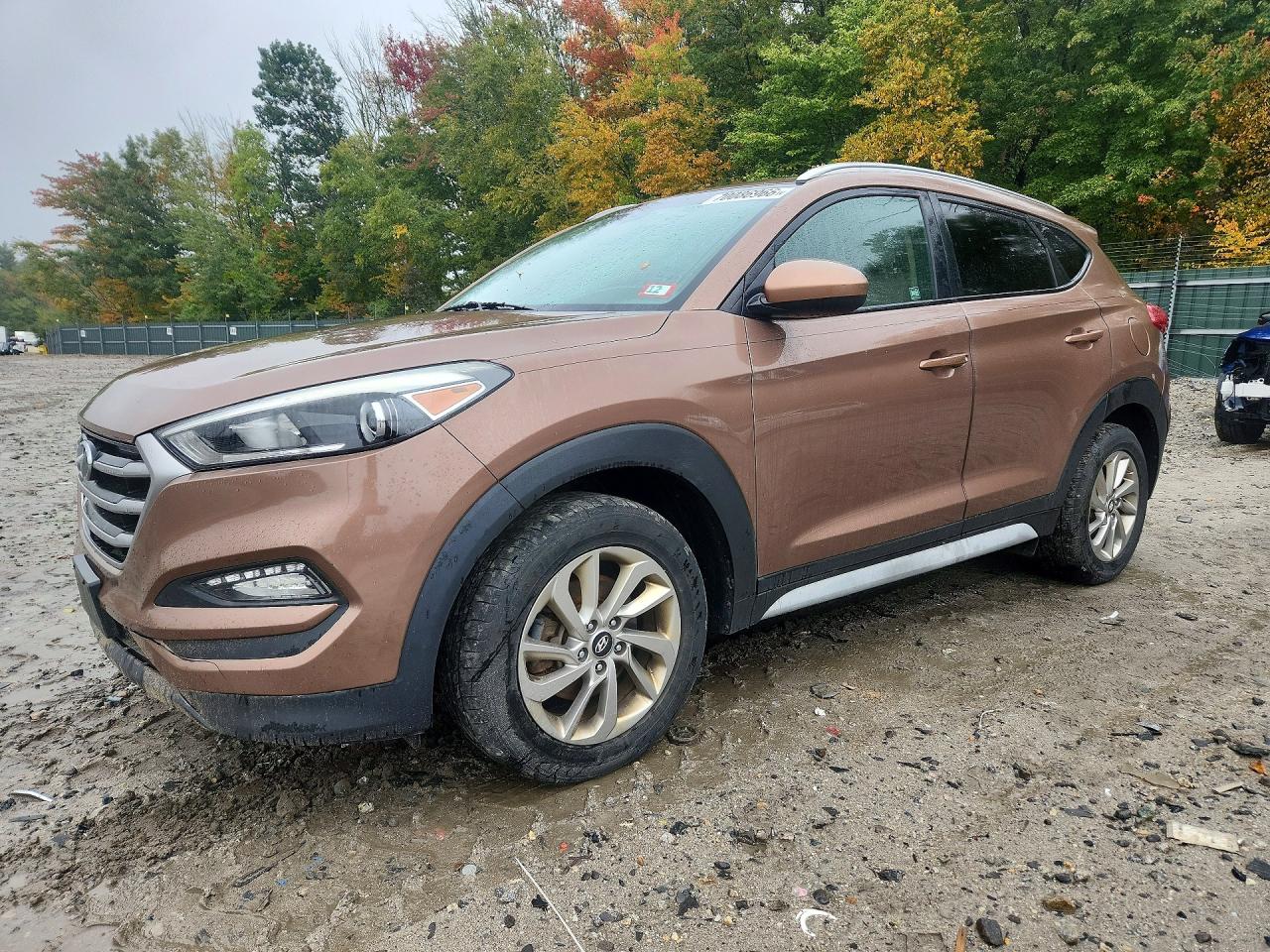 Photo of the 2017 HYUNDAI TUCSON SE