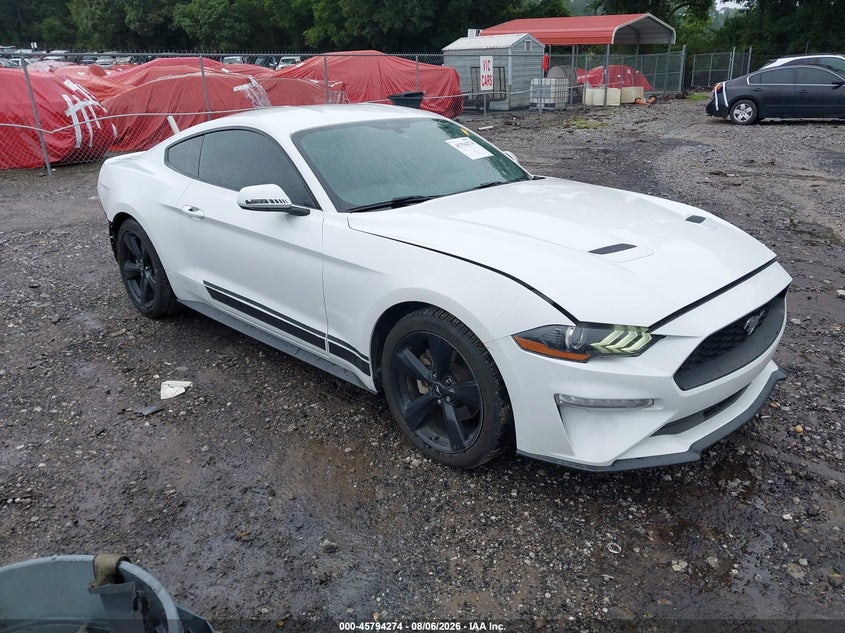 Photo of the 2019 FORD MUSTANG ECOBOOST