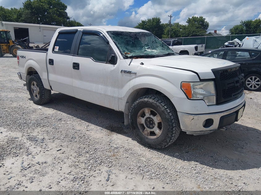 Photo of the 2014 FORD F-150 XLT