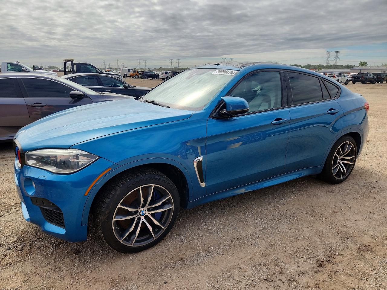Photo of the 2015 BMW X6 M