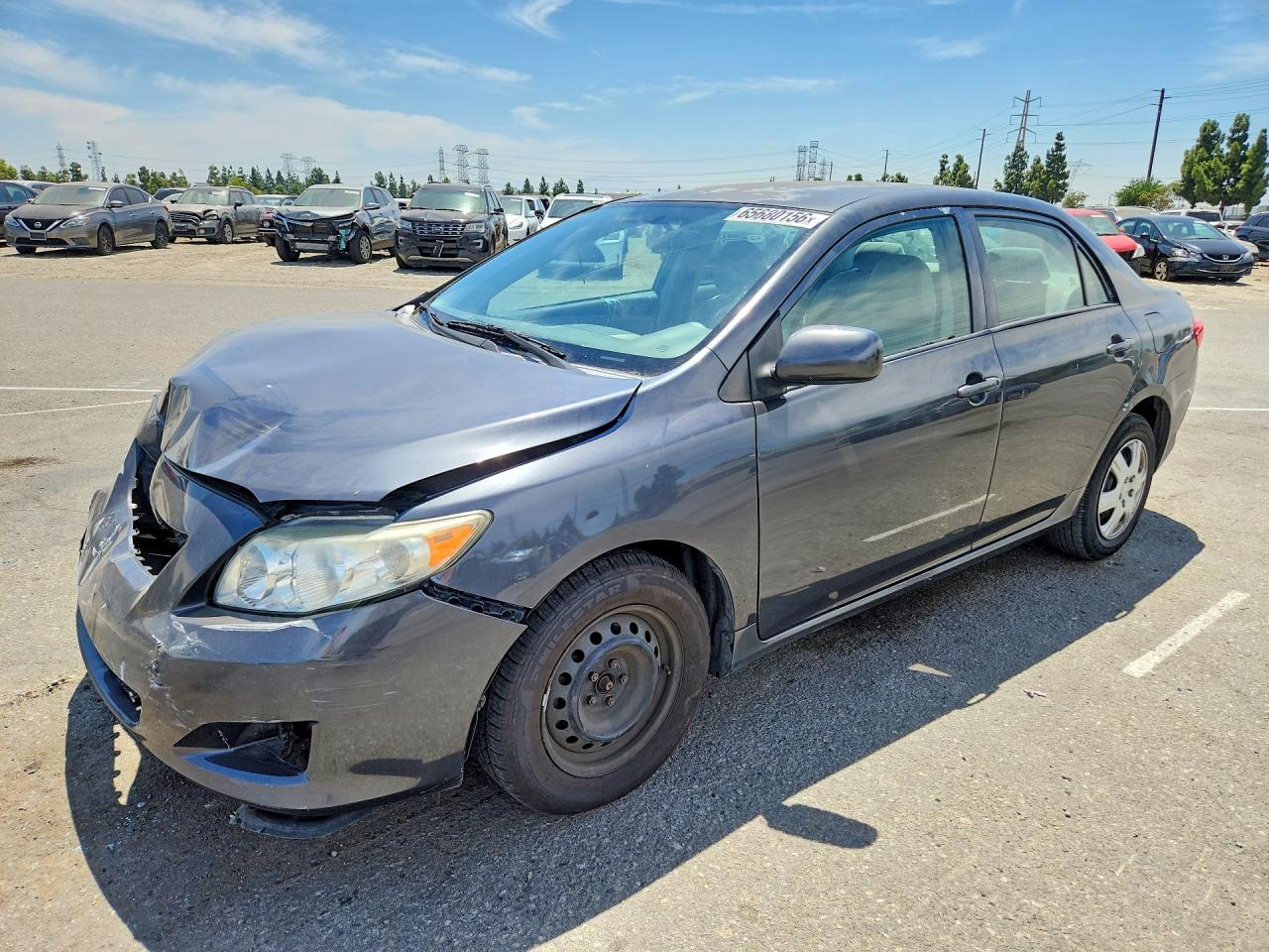 Photo of the 2010 TOYOTA COROLLA LE