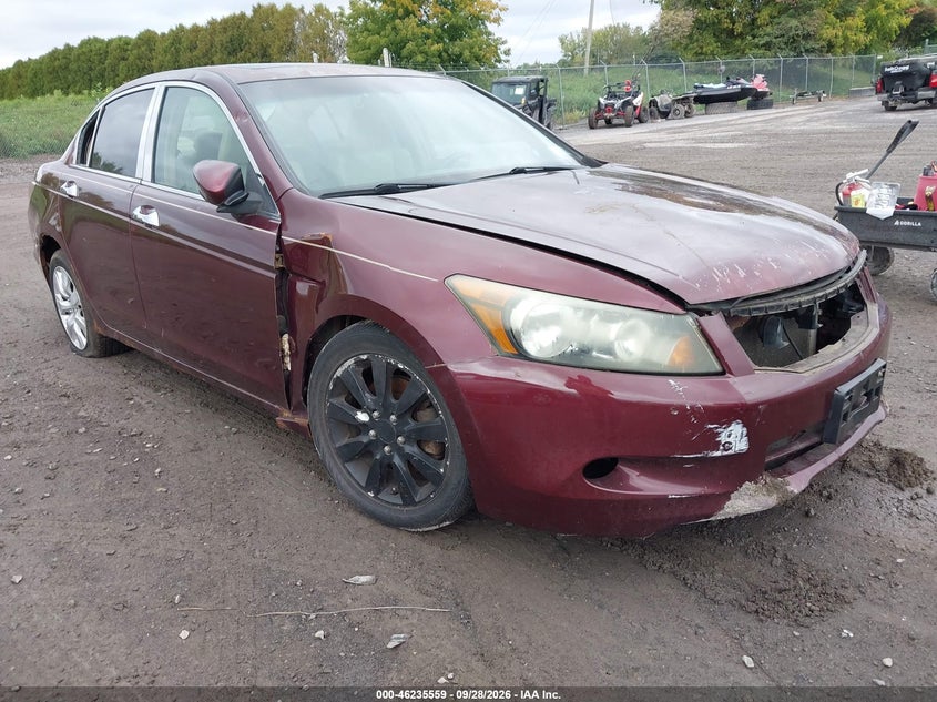 Photo of the 2008 HONDA ACCORD 3.5 EX-L