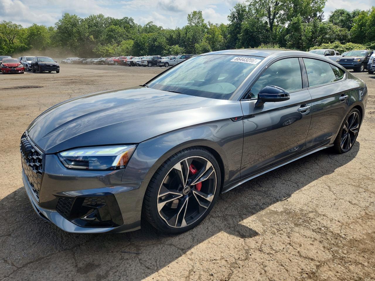 Photo of the 2024 AUDI S5 PREMIUM PLUS