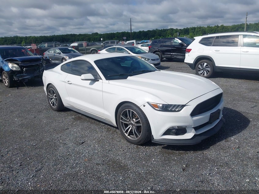 Photo of the 2017 FORD MUSTANG ECOBOOST