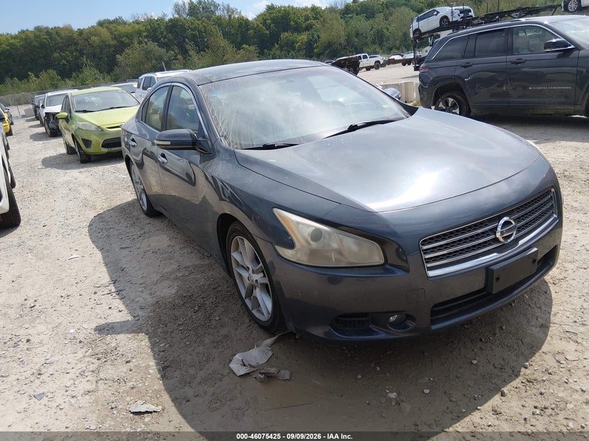 Photo of the 2009 NISSAN MAXIMA 3.5 SV