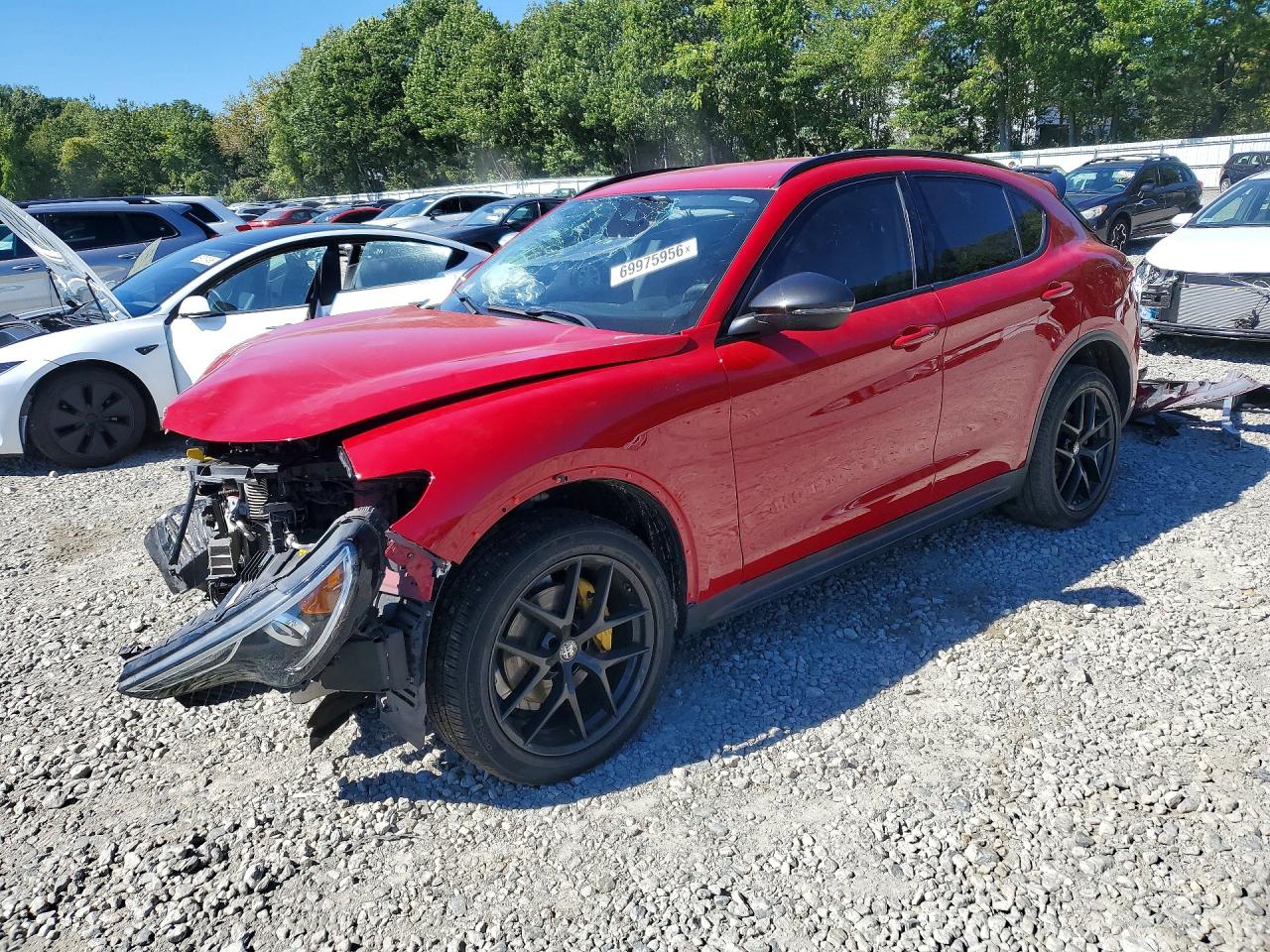 Photo of the 2020 ALFA ROMEO STELVIO