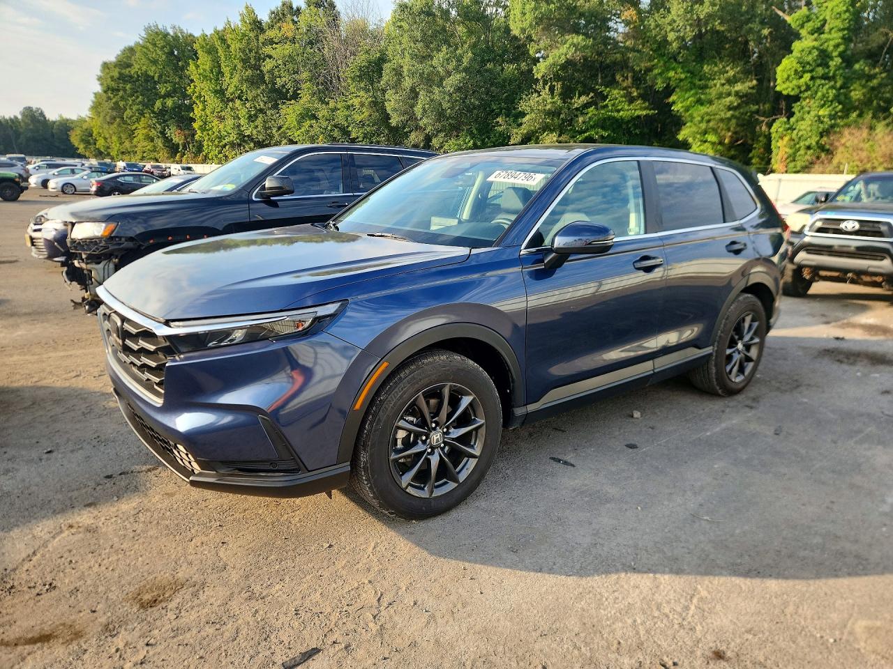 Photo of the 2026 HONDA CR-V EXL