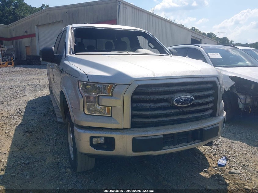 Photo of the 2017 FORD F-150 XLT