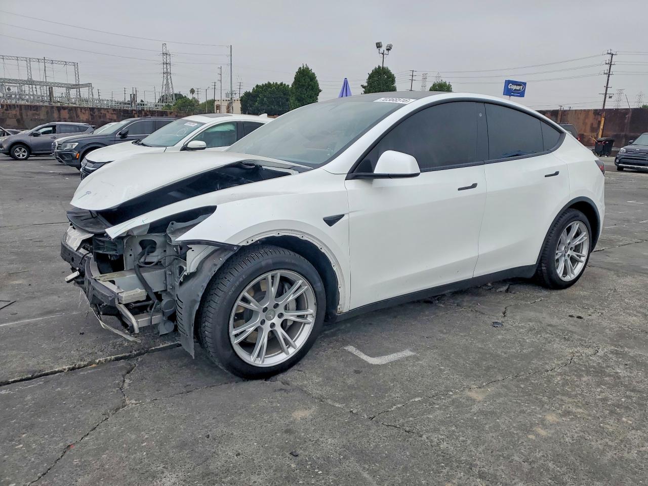 Photo of the 2020 TESLA MODEL Y