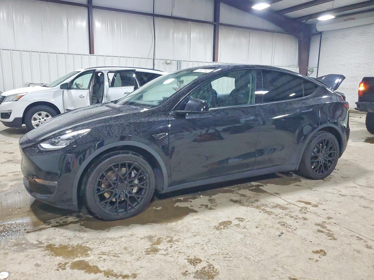 Photo of the 2021 TESLA MODEL Y